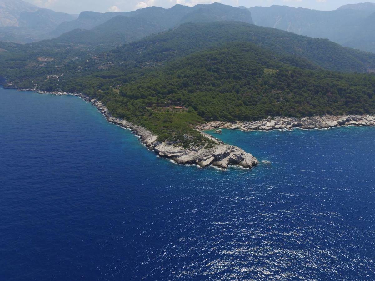 Rocas Roja Beach Hotel Faralya Exterior foto